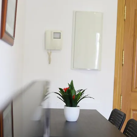 Hospedium Dlj Centro Apartment