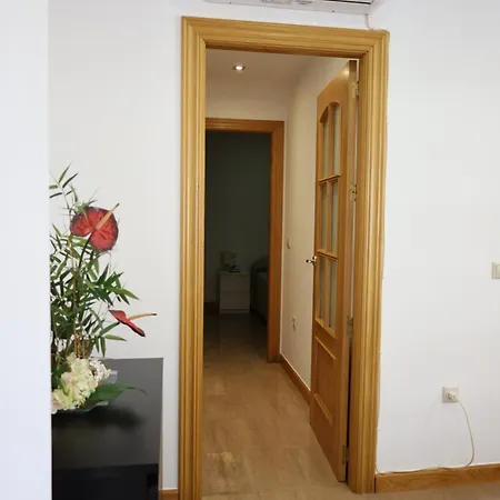 Hospedium Dlj Centro Apartment